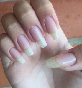 uñas decoradas manos uñas decoradas sencillas uñas decoradas 2024 uñas decoradas 2025 uñas acrilicas uñas en tendencia modelos de uñas decoradas uñas bonitas